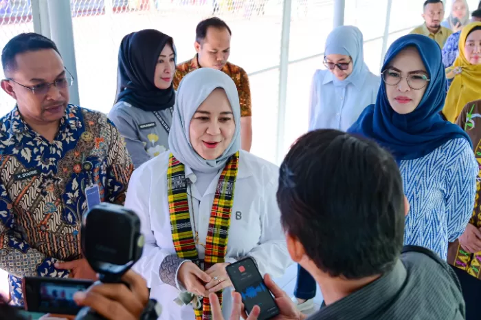 Wagub Sulsel Ajak Masyarakat Tanam Cabai, Langkah Sederhana untuk Kendalikan Inflasi