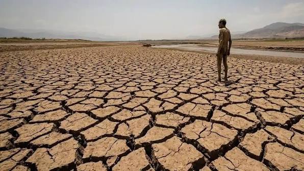 El Nino tahun ini diprediksi berpotensi menjadi yang terkuat dalam 150 tahun