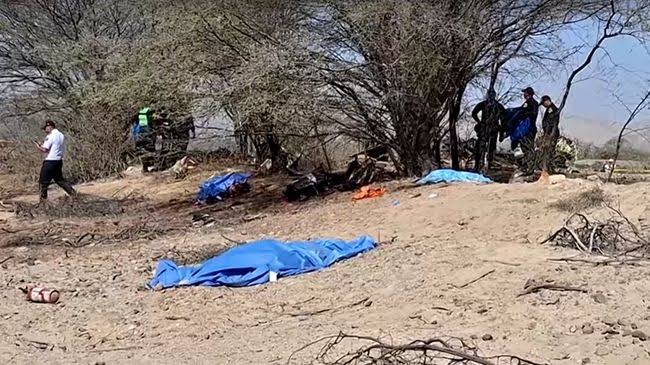 Pesawat wisata jatuh di dekat Garis Nazca, seluruh penumpang dan awak dilaporkan tewas
