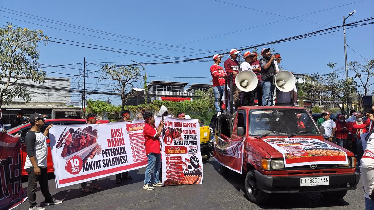 Aliansi Peternak Rakyat Sulawesi Bagikan Telur Gratis di Depan Kantor Gubernur Sulsel, Kebijakan Mentan Amran Dipertanyakan
