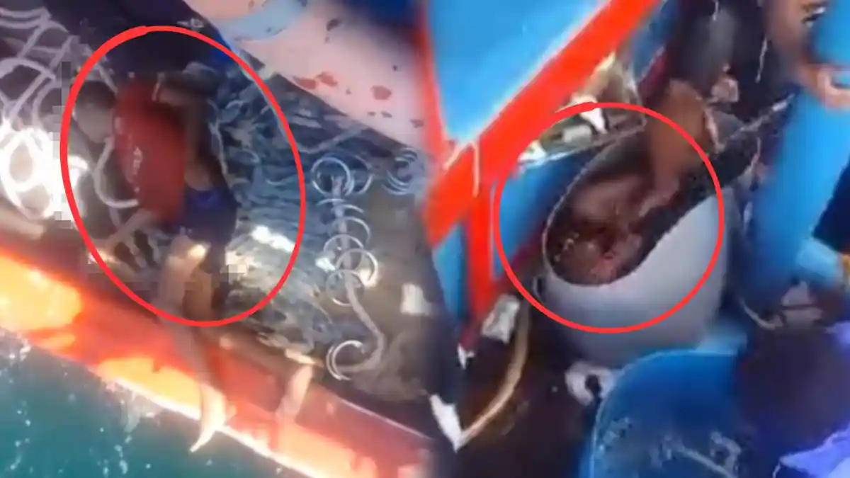 Target Cumi Tak Sampai, Kekerasan Diduga Menimpa 4 ABK Kapal Ikan