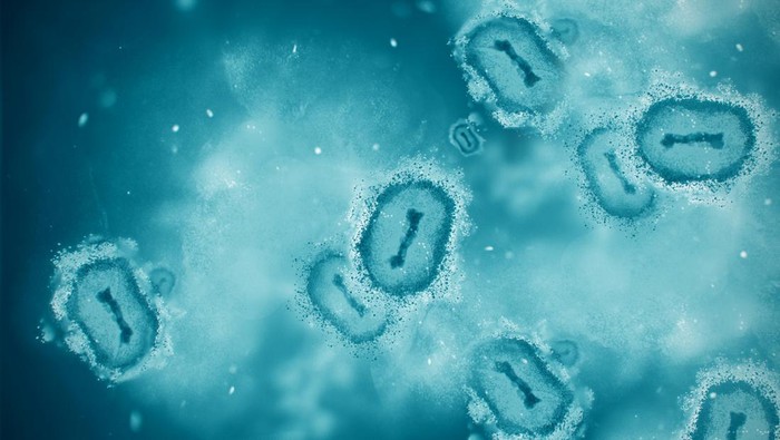 Sampel Biologis Pecah di Lab Rusia, Satu Pegawai Meninggal